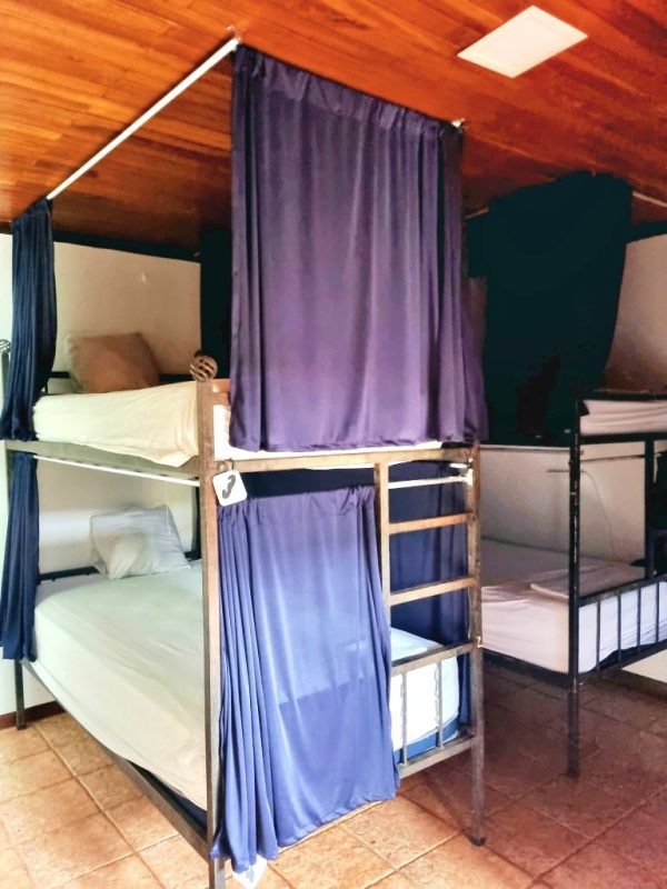 Dorms in Fortuna San Carlos - Image 6